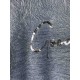 Pull Blue Seven "Good Vibes" Bleu