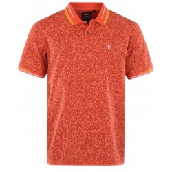 Polo Stay Fresh