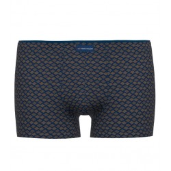 Boxer Tom Tailor Brun